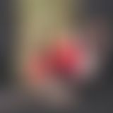 s*xy X-mas mit Donna PART III