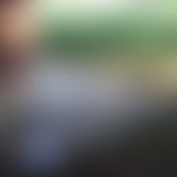 pin**lpause auf dem Rastplatz