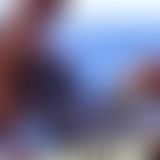 Wochen-Review - KW 34 - Die Woche