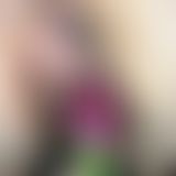 Sauereien in der Mittagspause.....