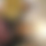 Eine Einführung in mich x