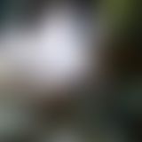 Standbilder aus Videos