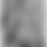 Dessous zeigen und Karottenspiele