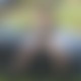 Sls black series amg shooting