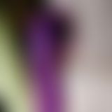 Ein paar Spielchen am Morgen