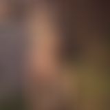 Een dag in Montseny Barcelona