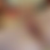 Alle bishher Verfügbaren Bilder