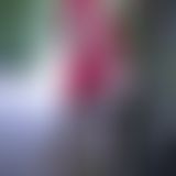 Pinup Dame im Marienkäferkleid auf einem Weg