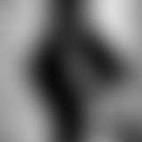 Moja pierwsza galeria :)