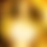 Welches Bild wählt dein schw**z?