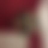 FoxyLilly‘s Schlittenfahrt