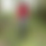 s*xy Outdoor Gummistiefel-Shooting