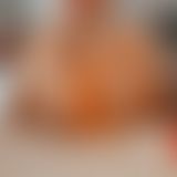 Meine 2600cc Melonen