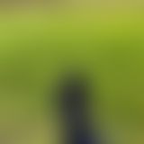 Männliche Outdoor Füße