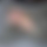 Posen - hol dir ruhig ein runter