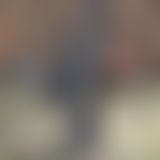 Mein Freund der Baum