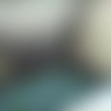 die pi**geilesau On Tour