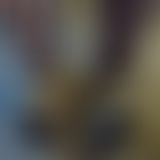 schuhe werden eingelatscht