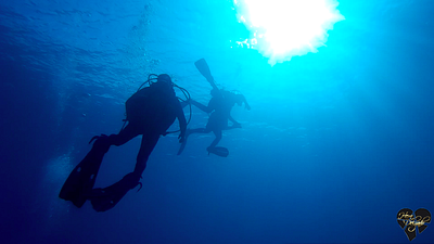 #Dive N°: 853 (5)