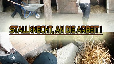 Stallknecht muss Ausmisten